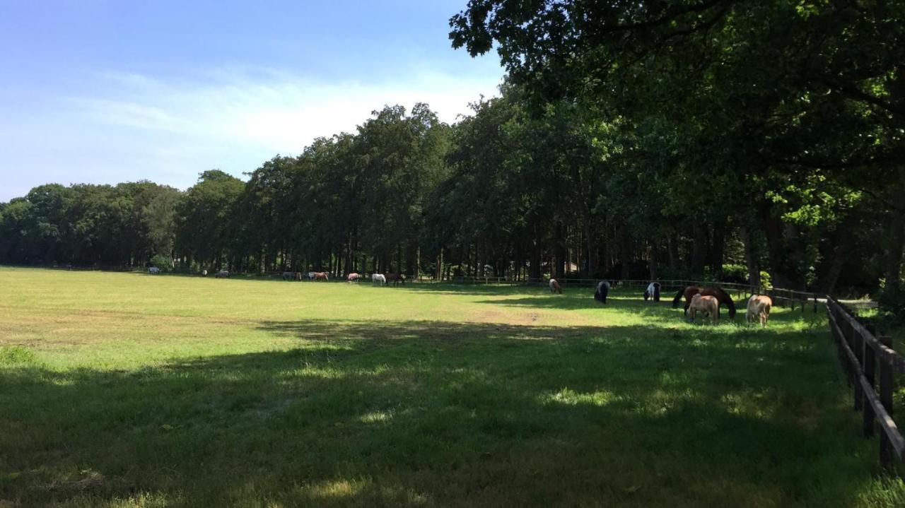 Boerderij De Enkhoeve Laag-Soeren Kültér fotó
