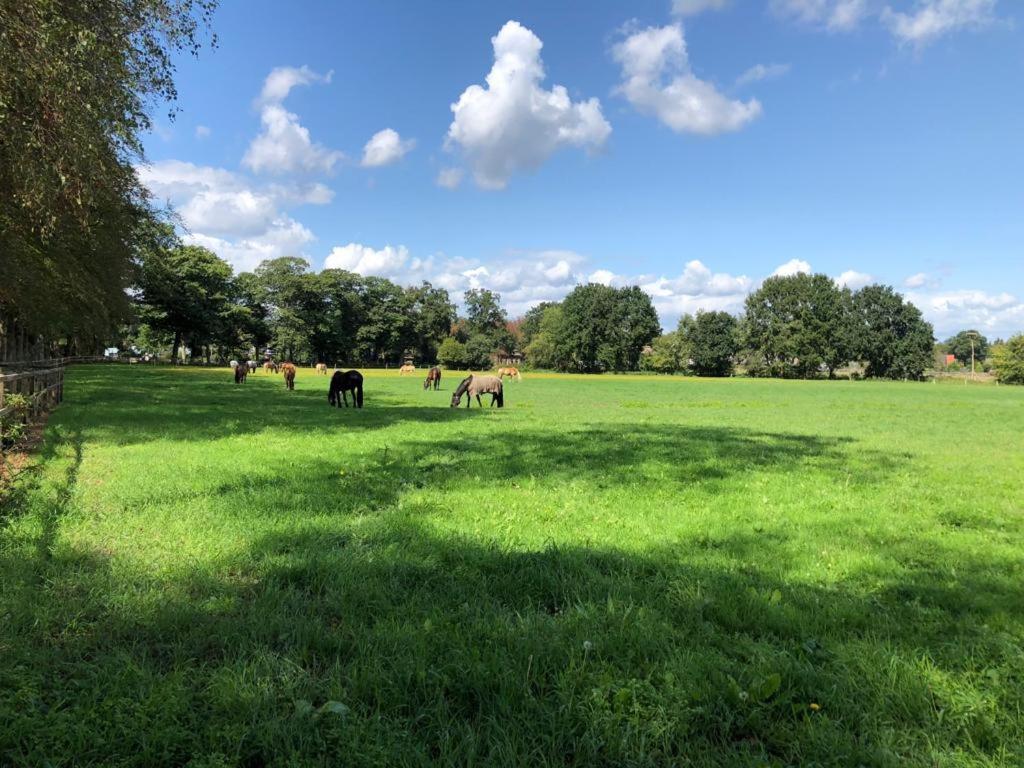 Boerderij De Enkhoeve Laag-Soeren Kültér fotó