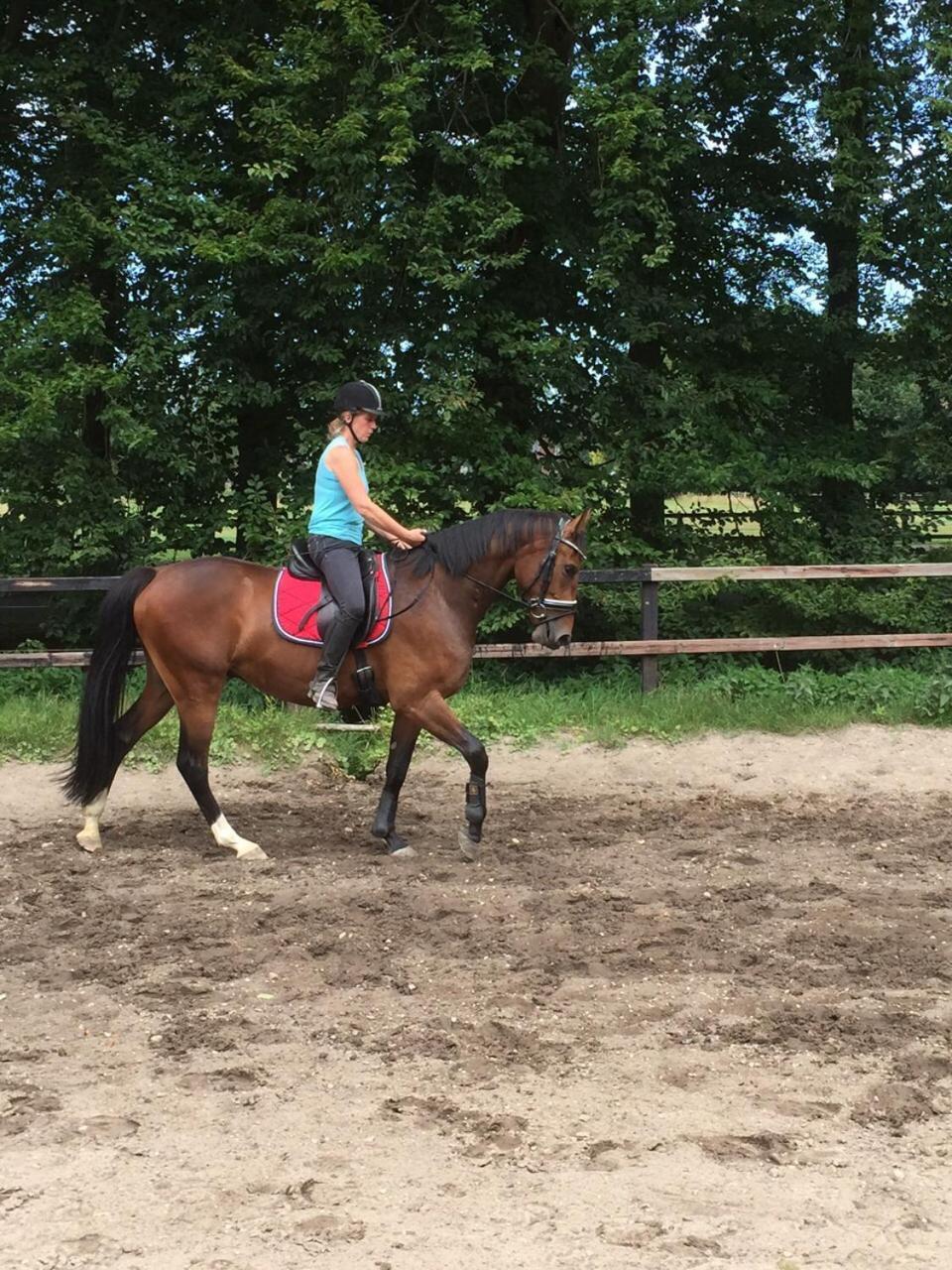 Boerderij De Enkhoeve Laag-Soeren Kültér fotó