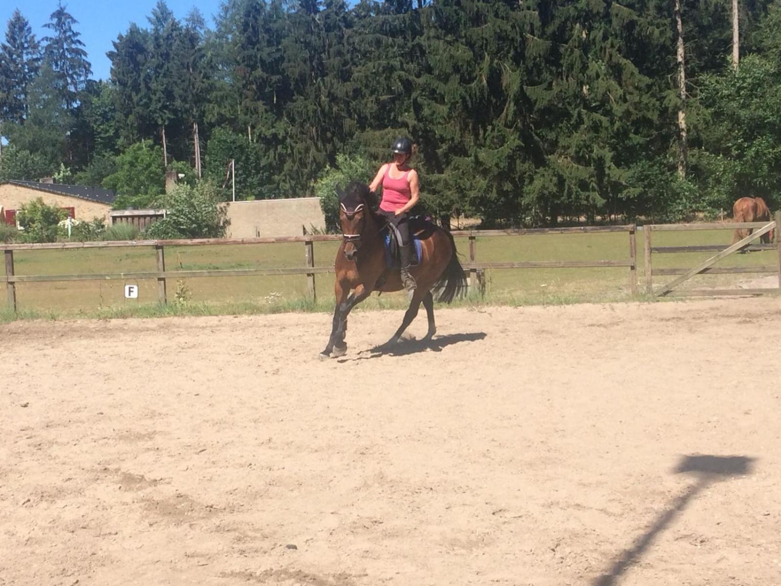 Boerderij De Enkhoeve Laag-Soeren Kültér fotó